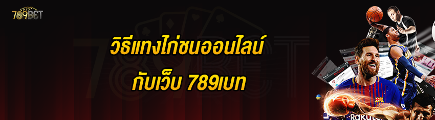 วิธีแทงไก่ชนออนไลน์กับเว็บ 789เบท