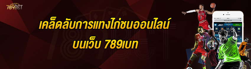 เคล็ดลับการแทงไก่ชนออนไลน์บนเว็บ 789เบท