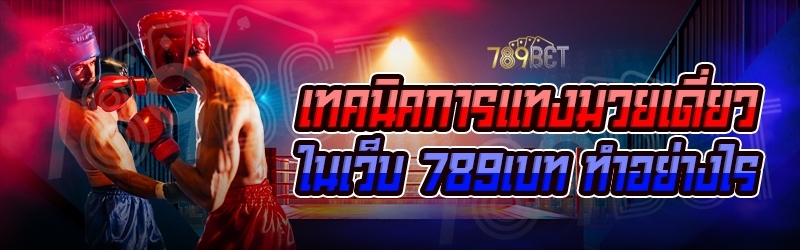 เทคนิคการแทงมวยเดี่ยว ในเว็บ 789เบท ทำอย่างไร